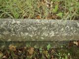 image of grave number 949579